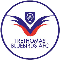 Trethomas Bluebirds AFC