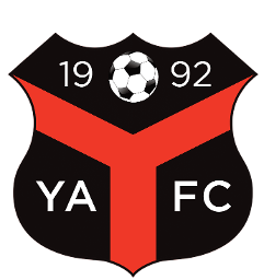 Ynyshir Albions FC