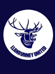 Llanrumney United Womens