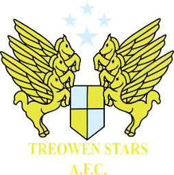 Treowen Stars AFC